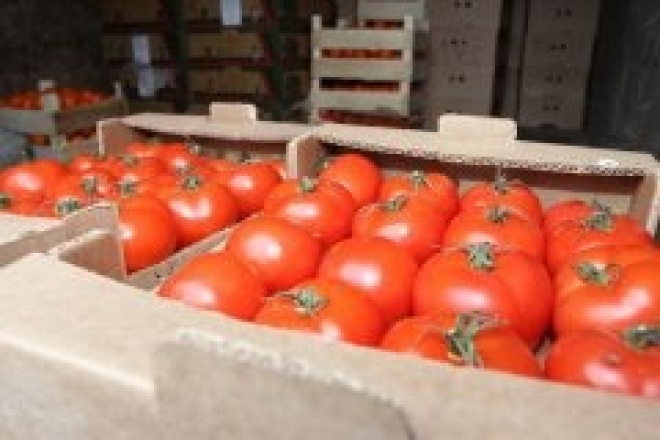 В Самаре отправили на уничтожение 770 кг помидоров из Турции